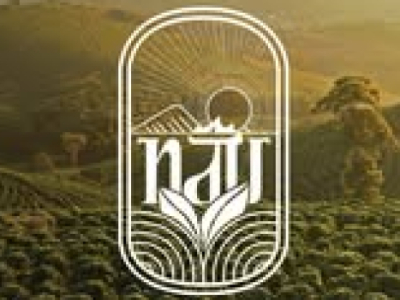 Nơi Hương Trà Và Sự Bình Yên Gặp Nhau